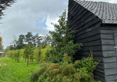 zijkant opstal