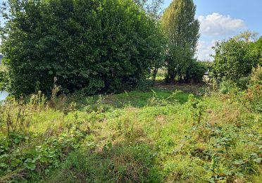 Perceel groen, bomen, planten, gras