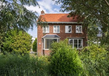 Huis, struiken, bomen